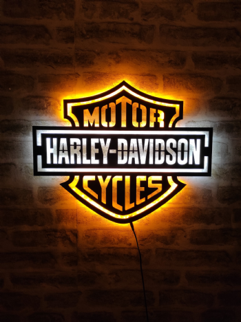 Harley Davidson Motor