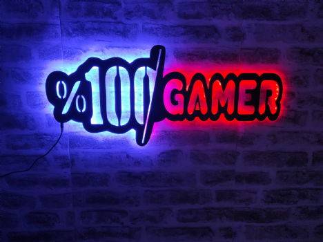 %100 Gamer