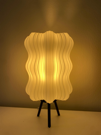 Modern Lampshade